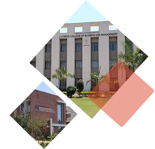 Graduate, Undergraduate, Postgraduate College in Anand