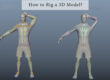 How to Rig a 3D Model