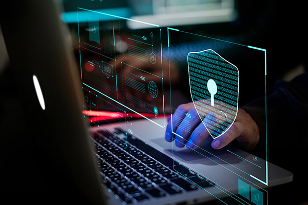 IMS-and-Cyber-Security