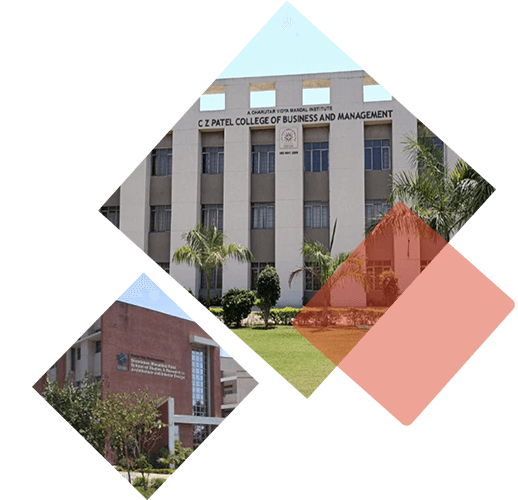 Graduate, Undergraduate, Postgraduate College in Anand